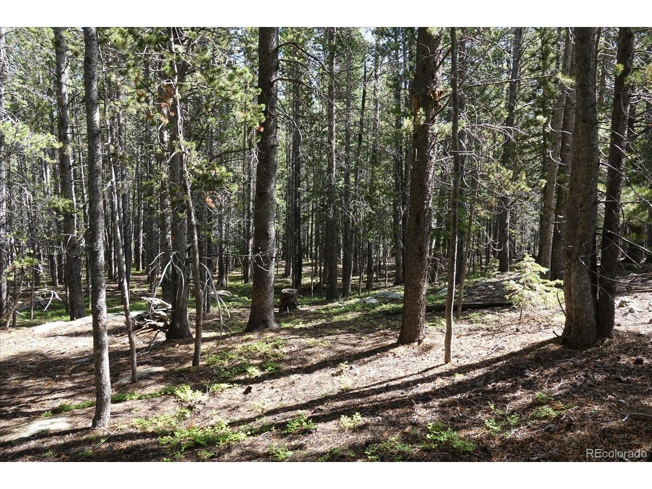 Photo of 0 Upper Forest Rd Idaho Springs CO 80452