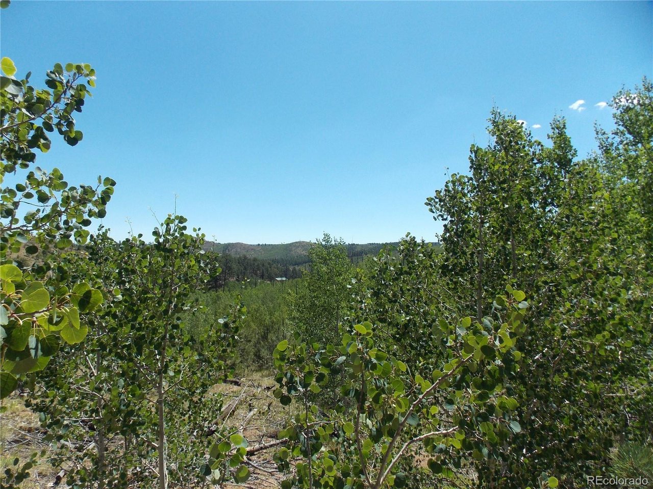 Photo of 615 Valley Dr Florissant CO 80816