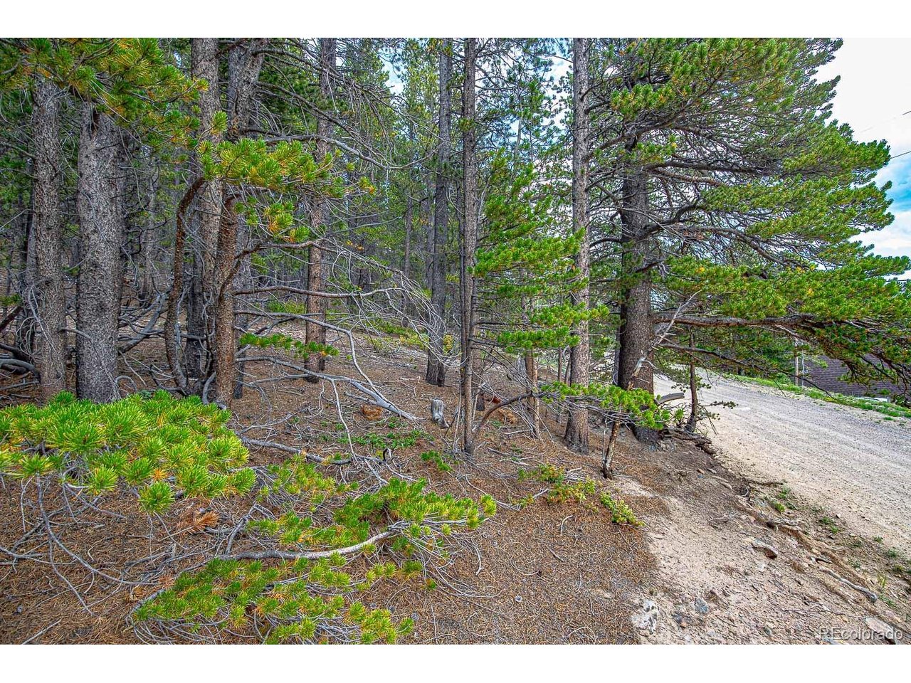 Photo of 836 Nebraska Dr Idaho Springs CO 80452