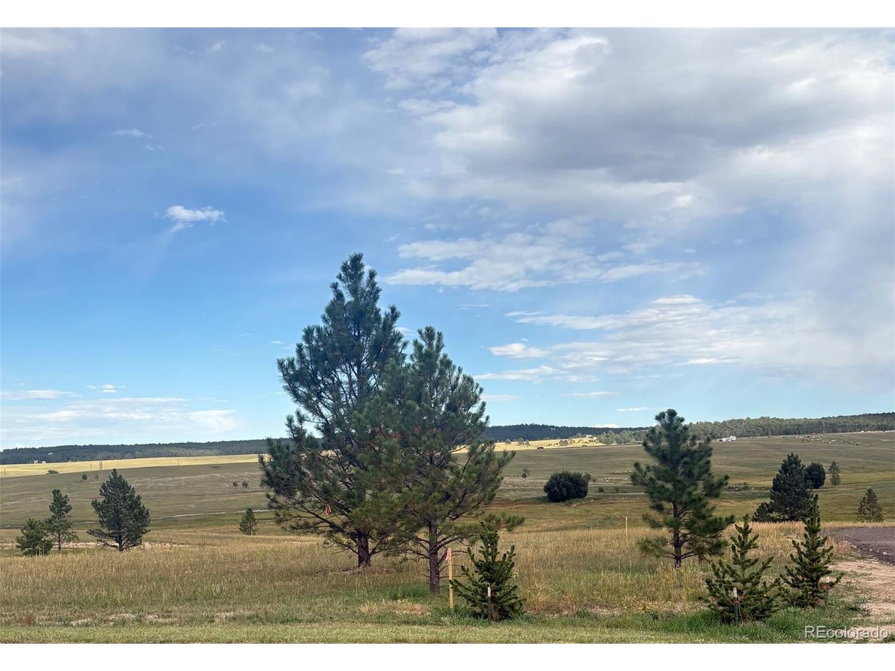 Photo of 18867 Cherry Springs Ranch Dr Monument CO 80132