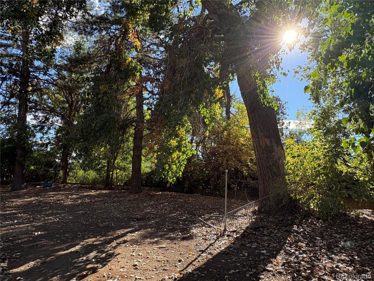 Photo of 1051 Hover St Longmont CO 80501