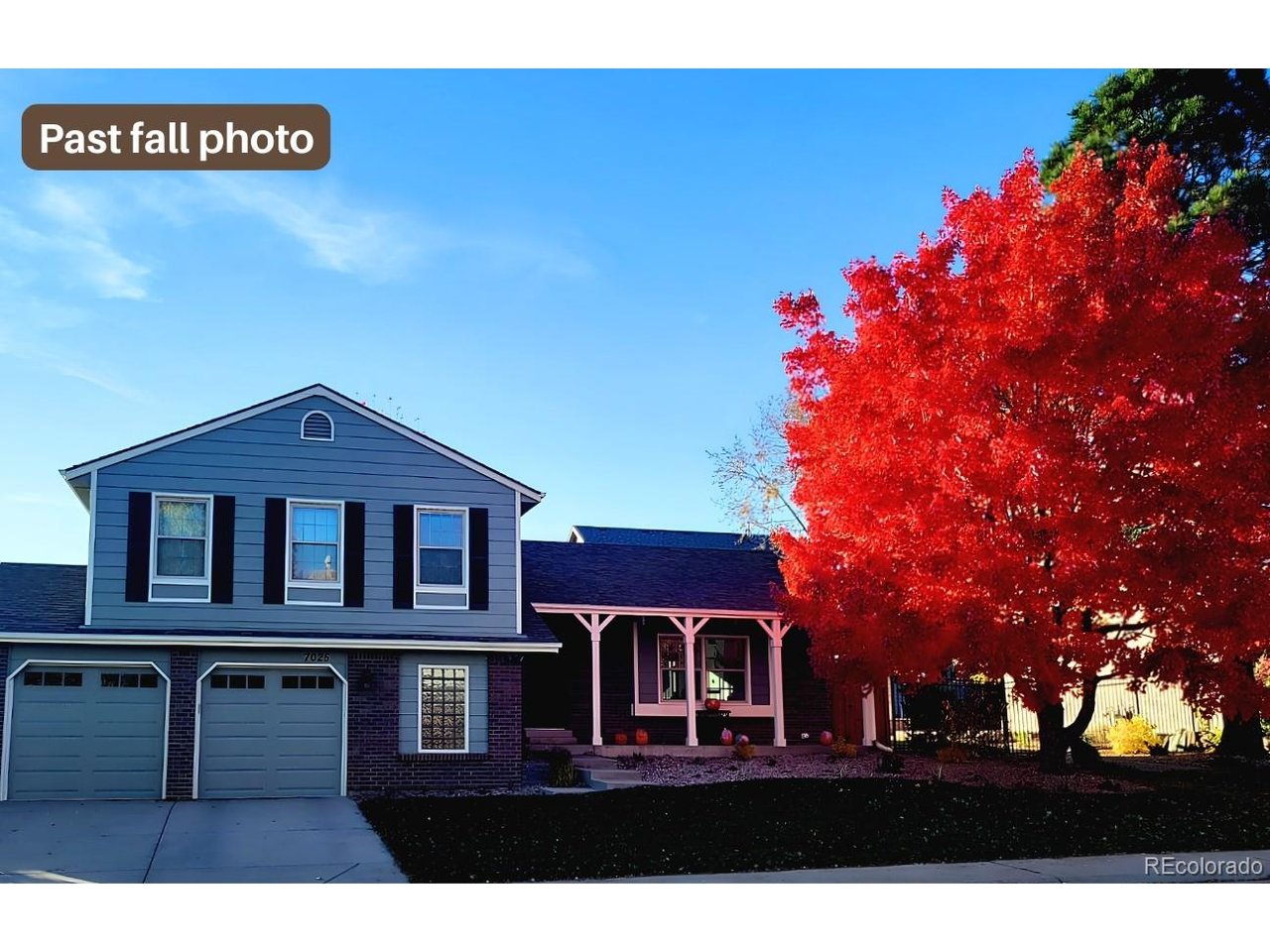 Photo of 7025 Gladiola St Arvada CO 80004