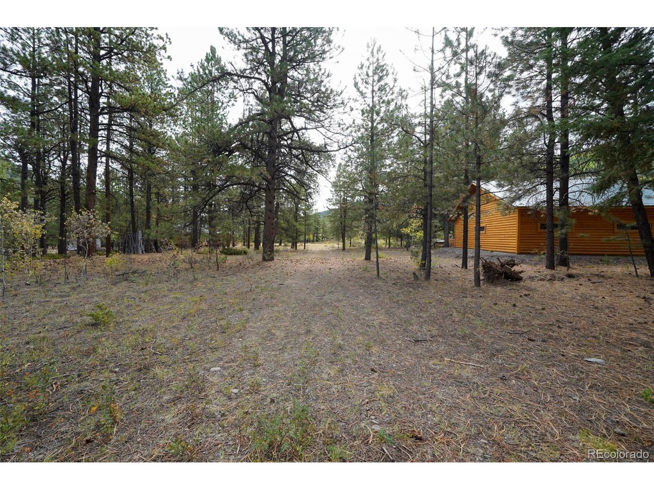 Photo of 136 Elk Meadow Run Antonito CO 81120