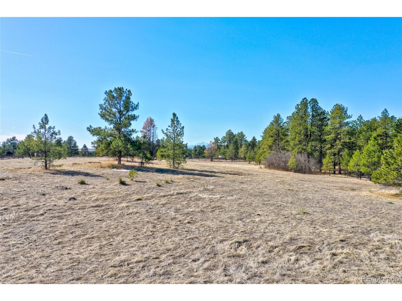 Photo of 1801 Marie Elena Way Franktown CO 80116