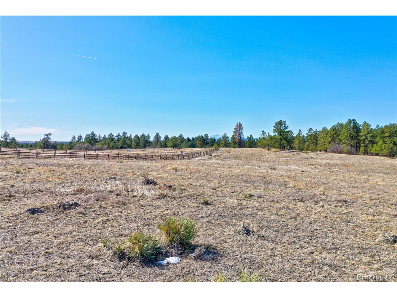 Photo of 1780 Marie Elena Way Franktown CO 80116