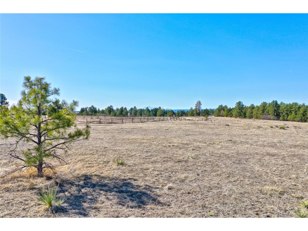 Photo of 9409 Sky Meadow Pt Franktown CO 80116