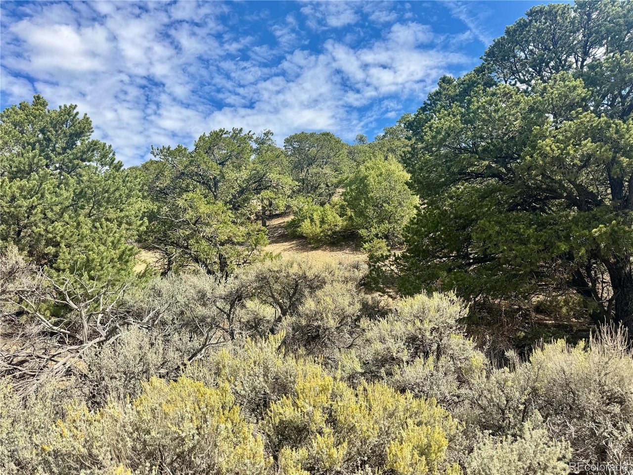 Photo of 1374 Carter Rd Fort Garland CO 81133