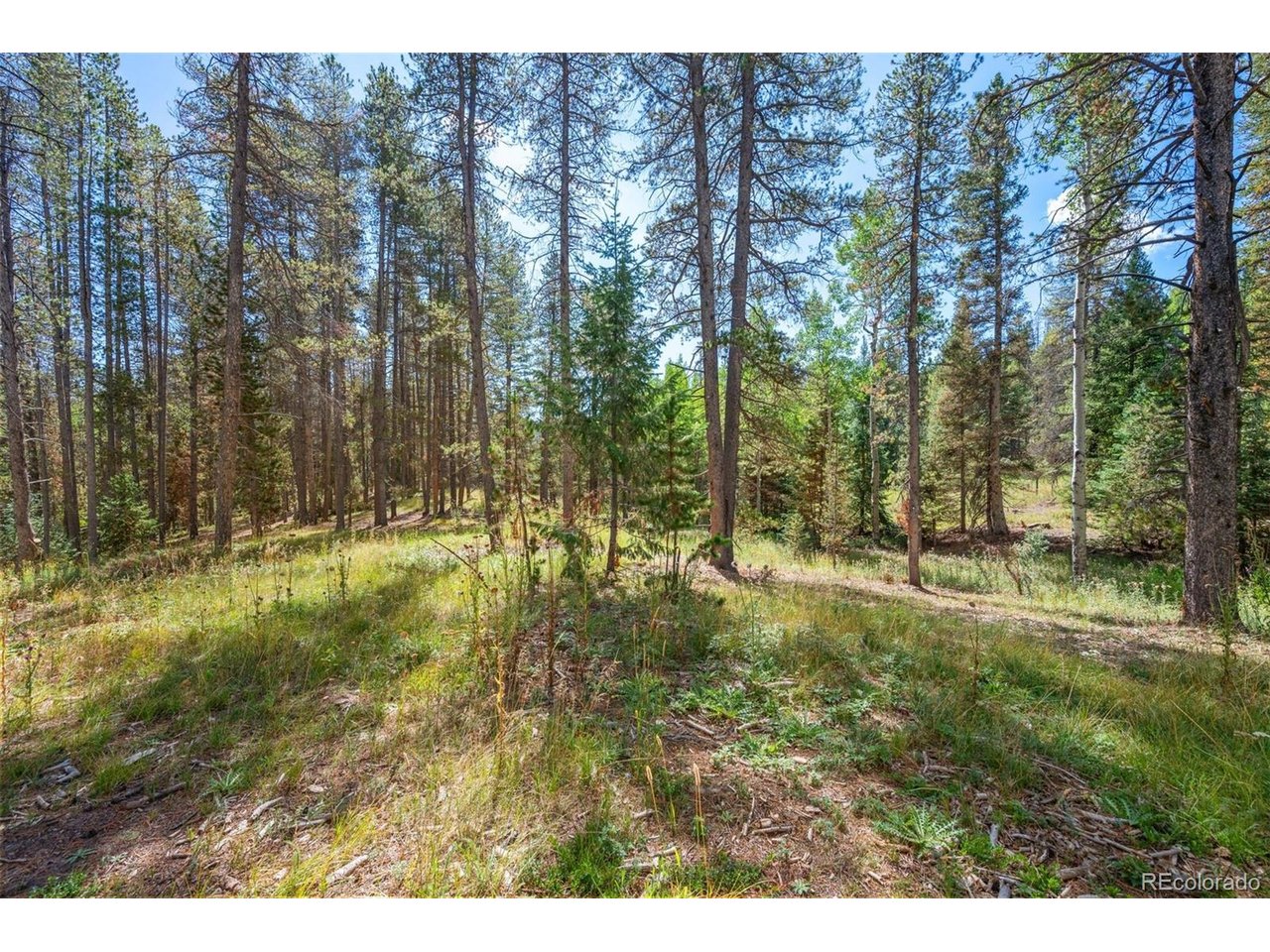 Photo of 1 Lot 12 Indian Springs Rd Conifer CO 80433