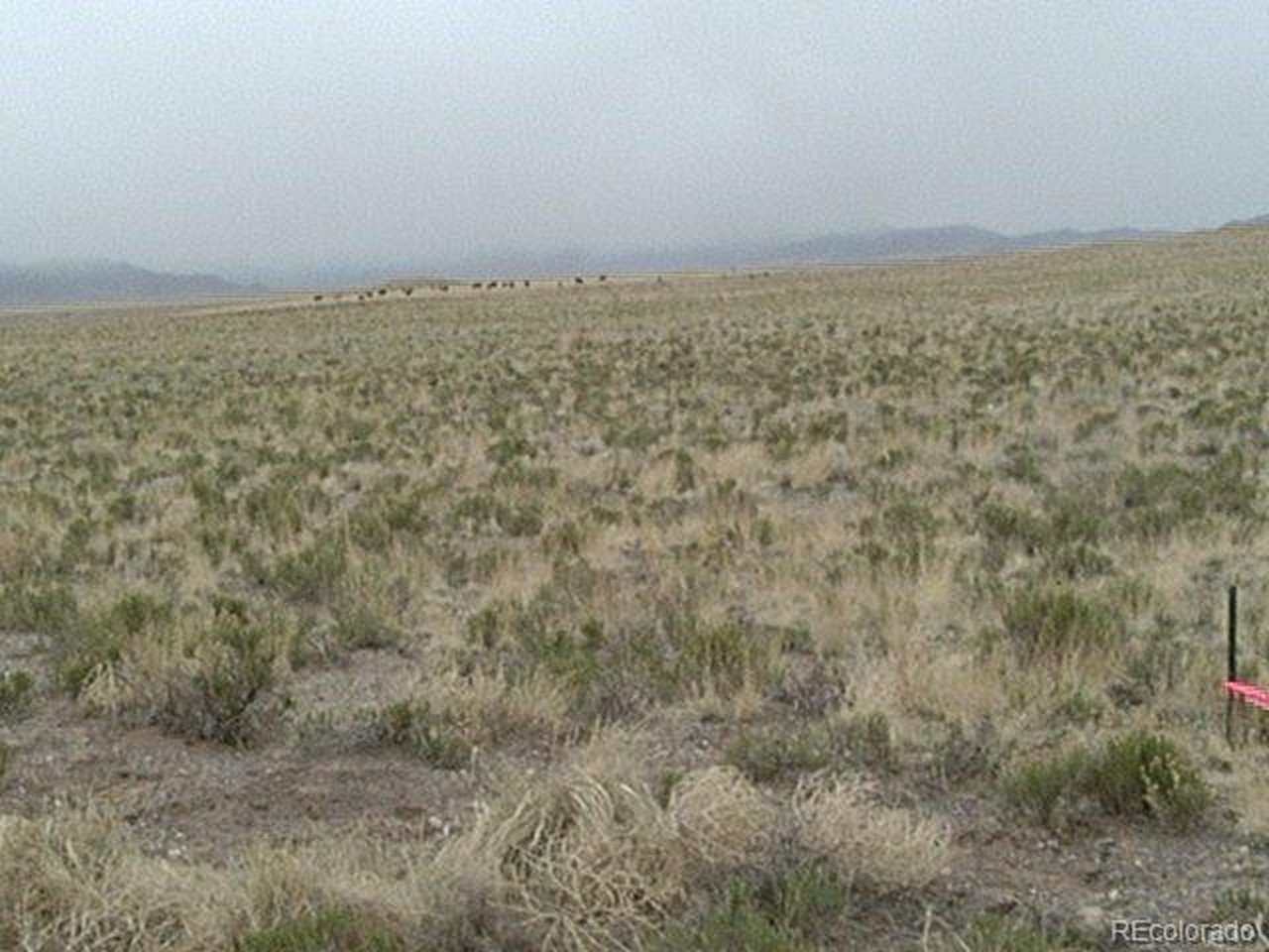 Photo of ARRIBA Rd Blanca CO 81123