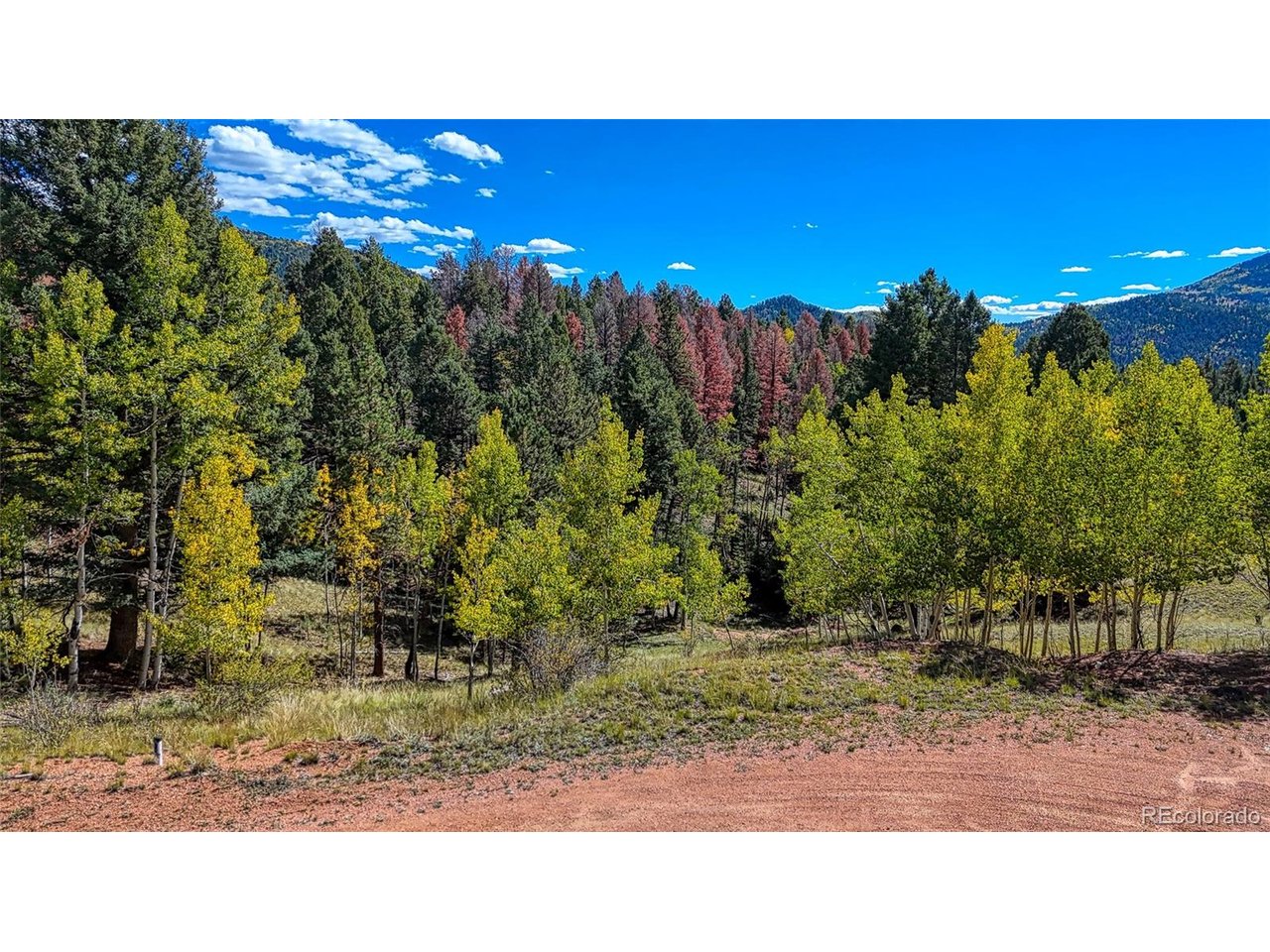 Photo of 136 Gold Crown Cir Cripple Creek CO 80813