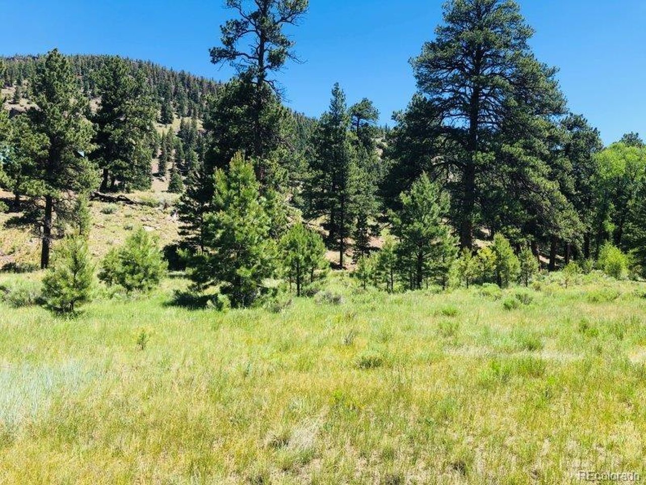 Photo of 151 Wagon Train Dr Antonito CO 81120