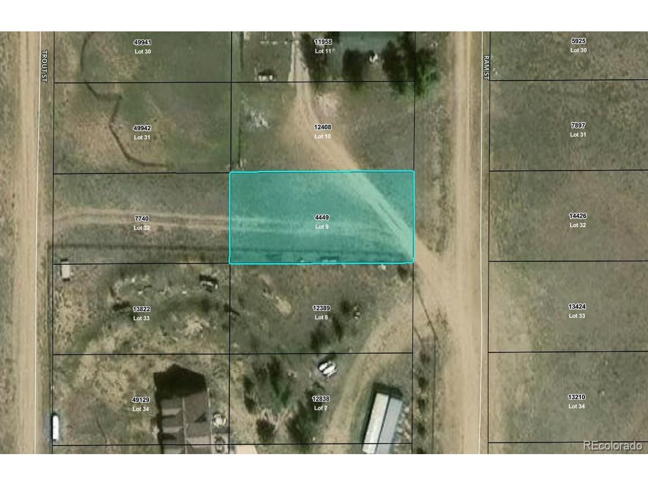 Photo of Ram St Hartsel CO 80449