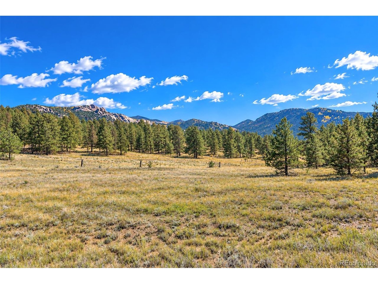 Photo of 308 Apache Trl Florissant CO 80816