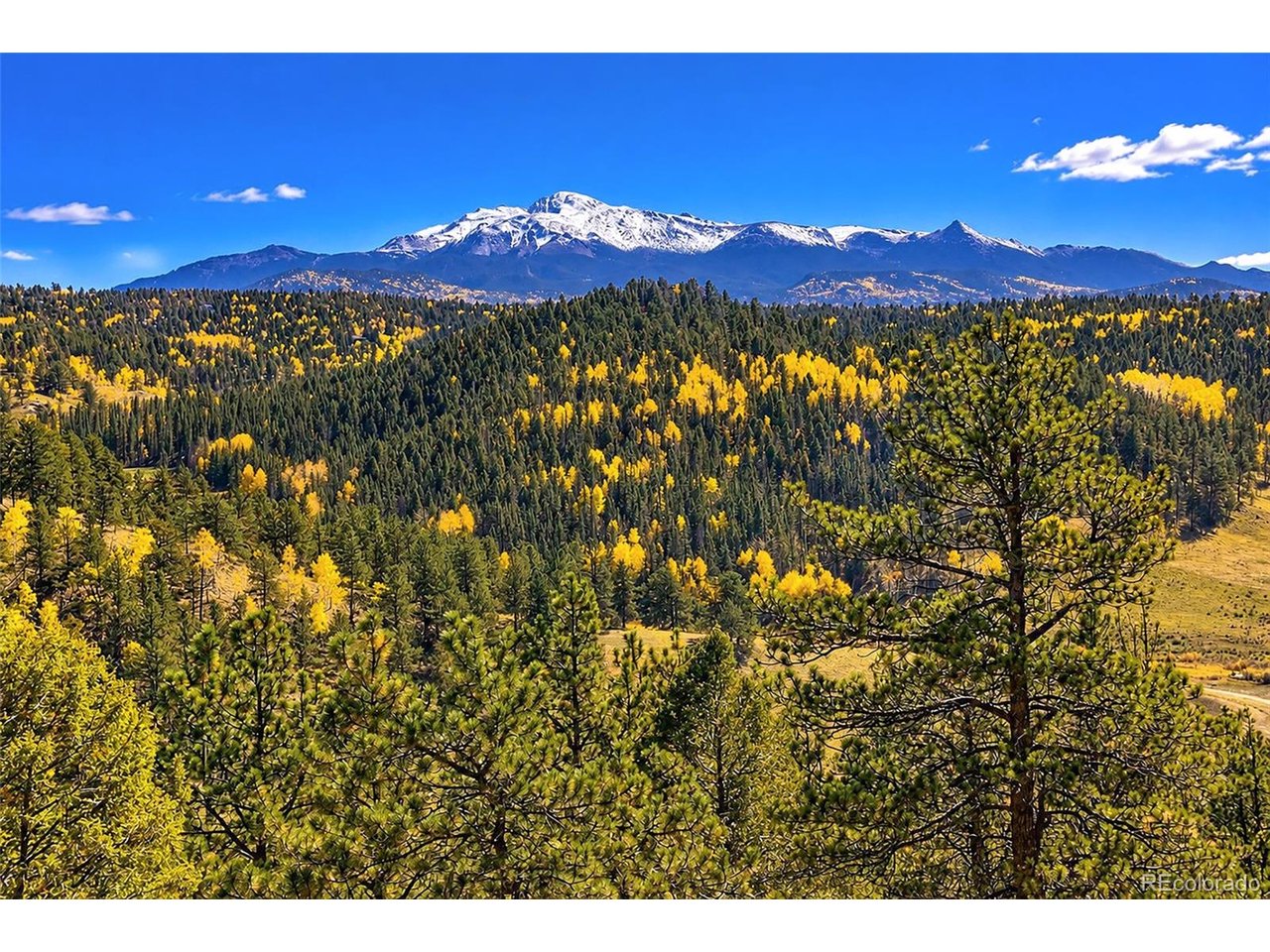 Photo of 72 Buffalo Creek Trl Florissant CO 80816