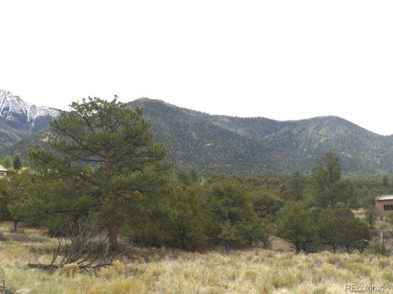 Photo of 918 Pine Cone Way Crestone CO 81131