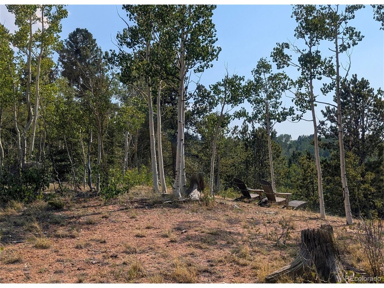 Photo of Fairview Dr Cripple Creek CO 80813