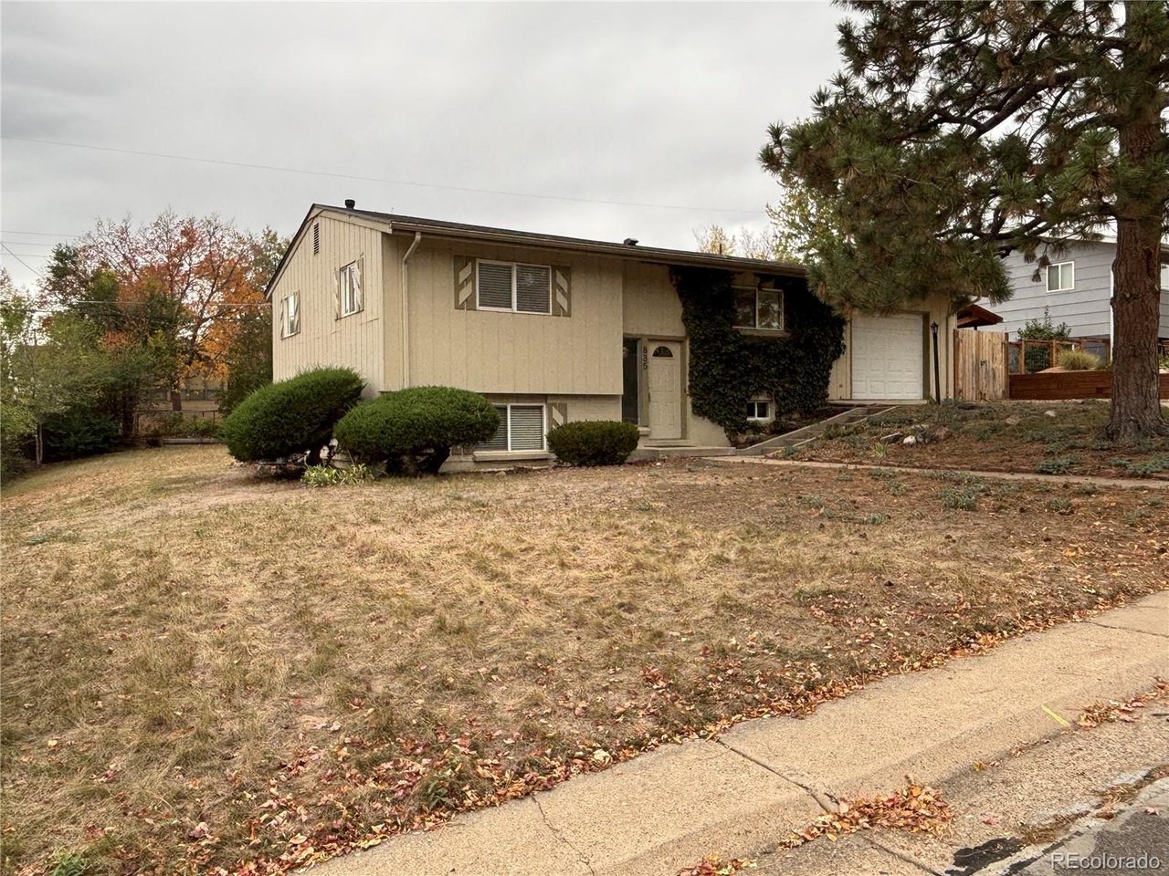 Photo of 835 S Queen Way Lakewood CO 80226