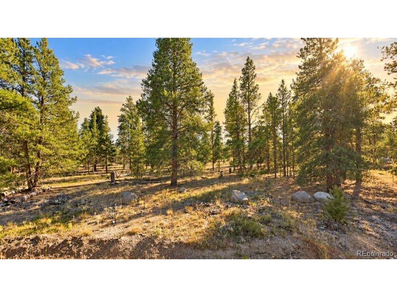 Photo of 626 Spruce Dr Twin Lakes CO 80461