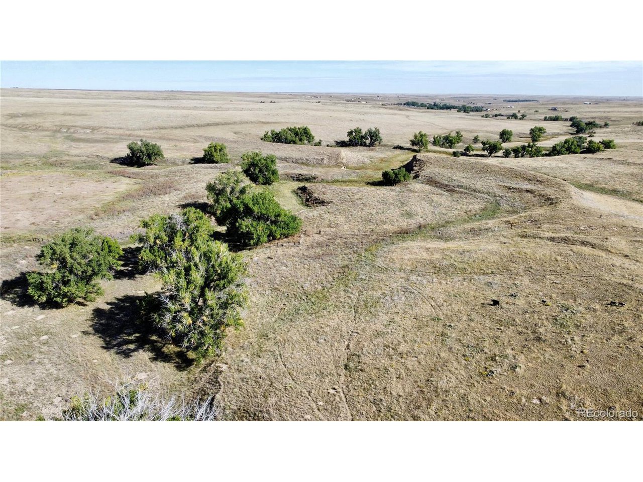 Photo of County Road 109 Deer Trail CO 80105