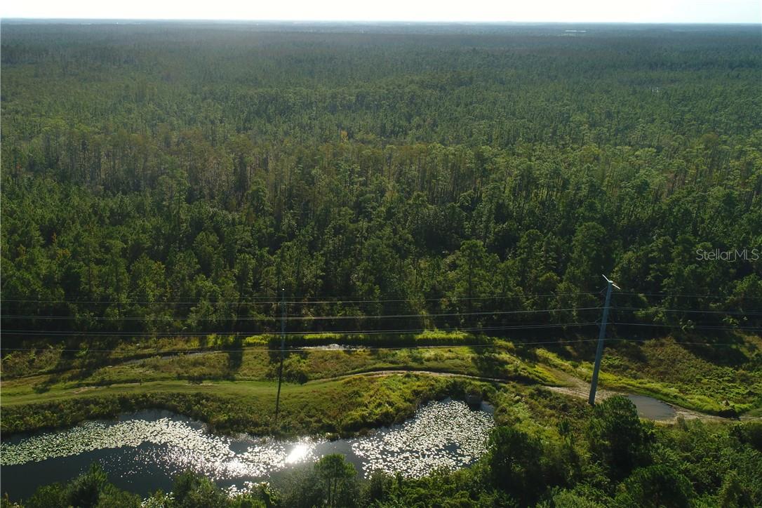 Photo of INTERNATIONAL DRIVE ORLANDO FL 32821