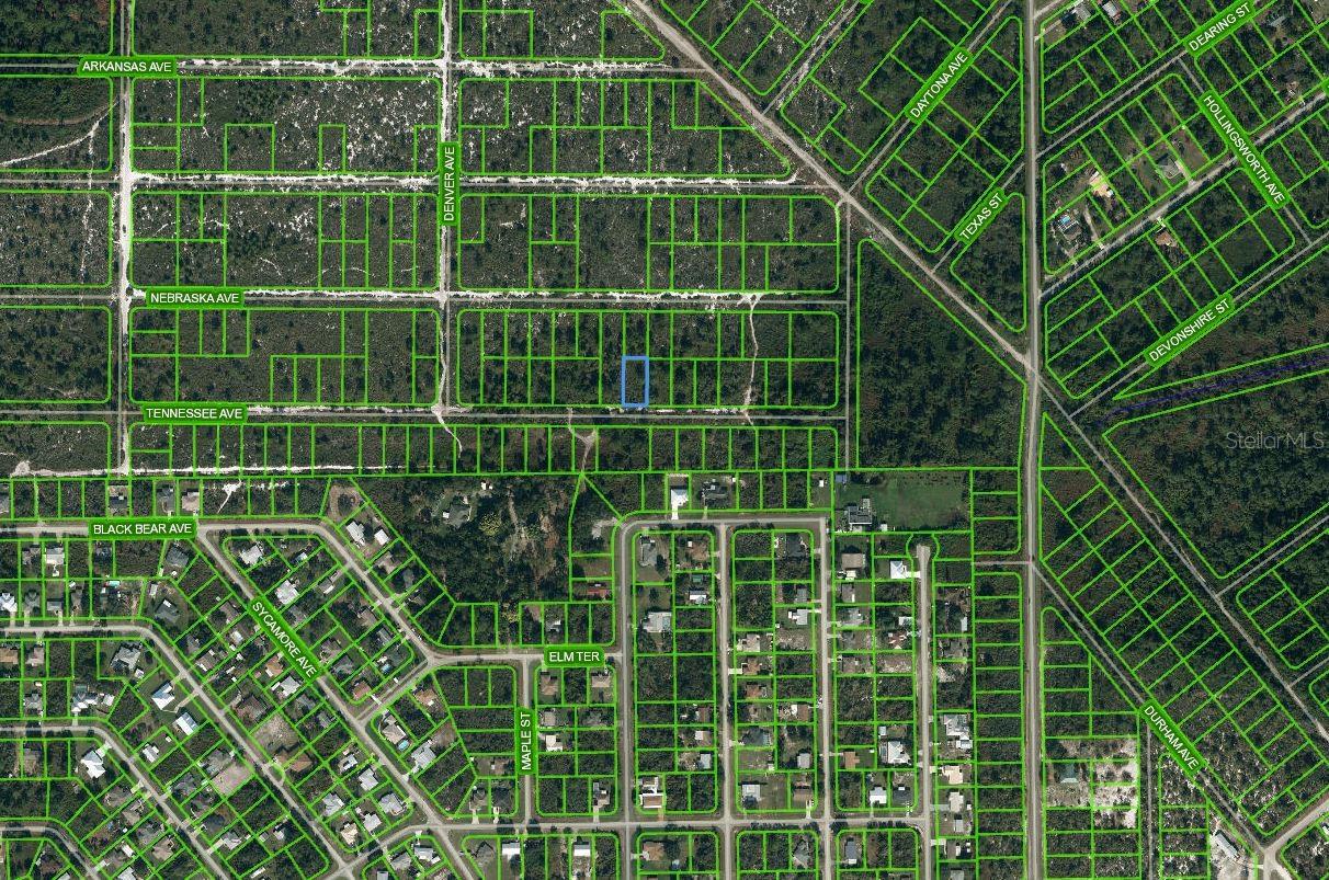 Photo of 590 TENNESSEE AVENUE LAKE PLACID FL 33852