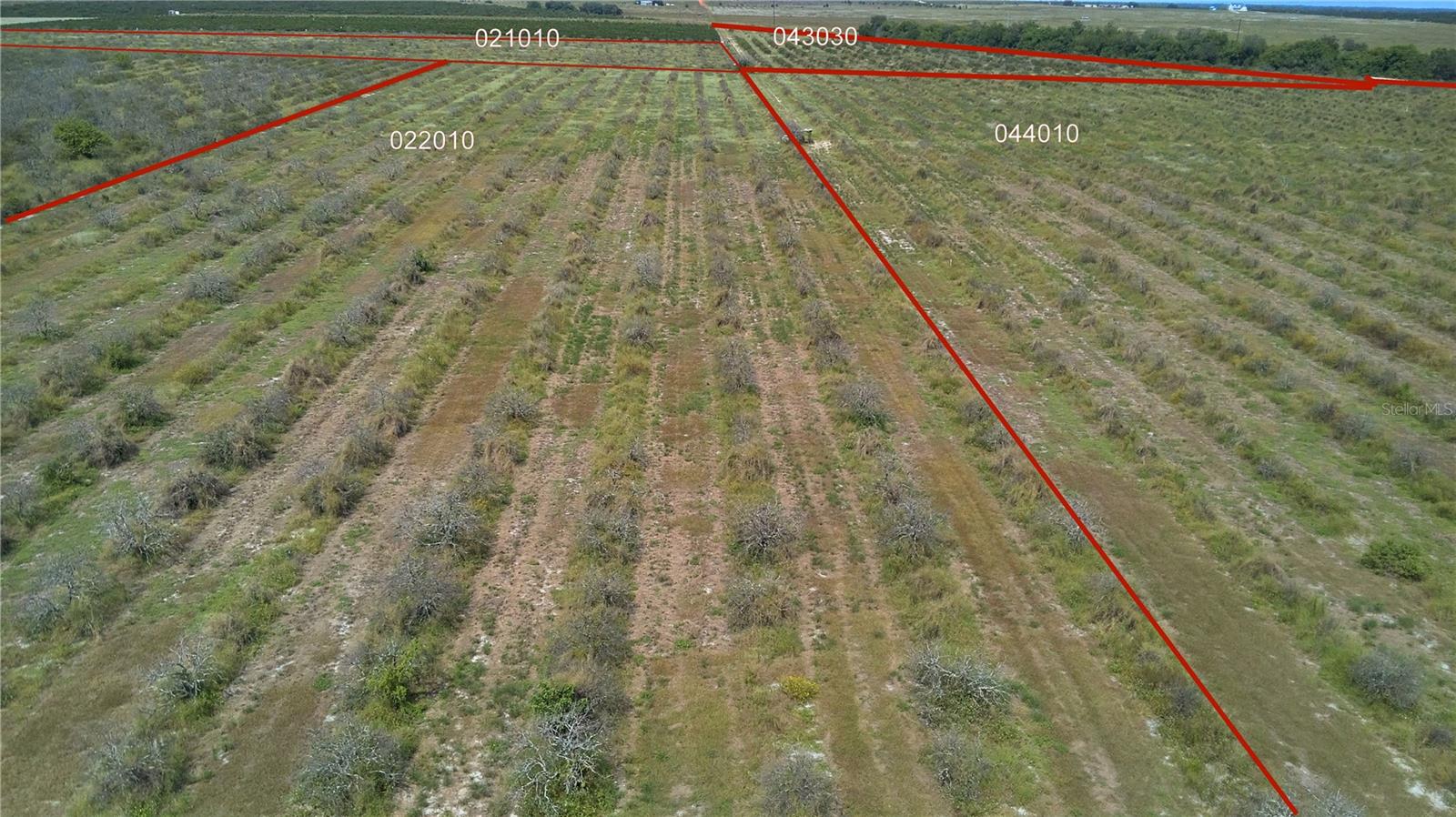 Photo of LAWRENCE STEWART ROAD FROSTPROOF FL 33843