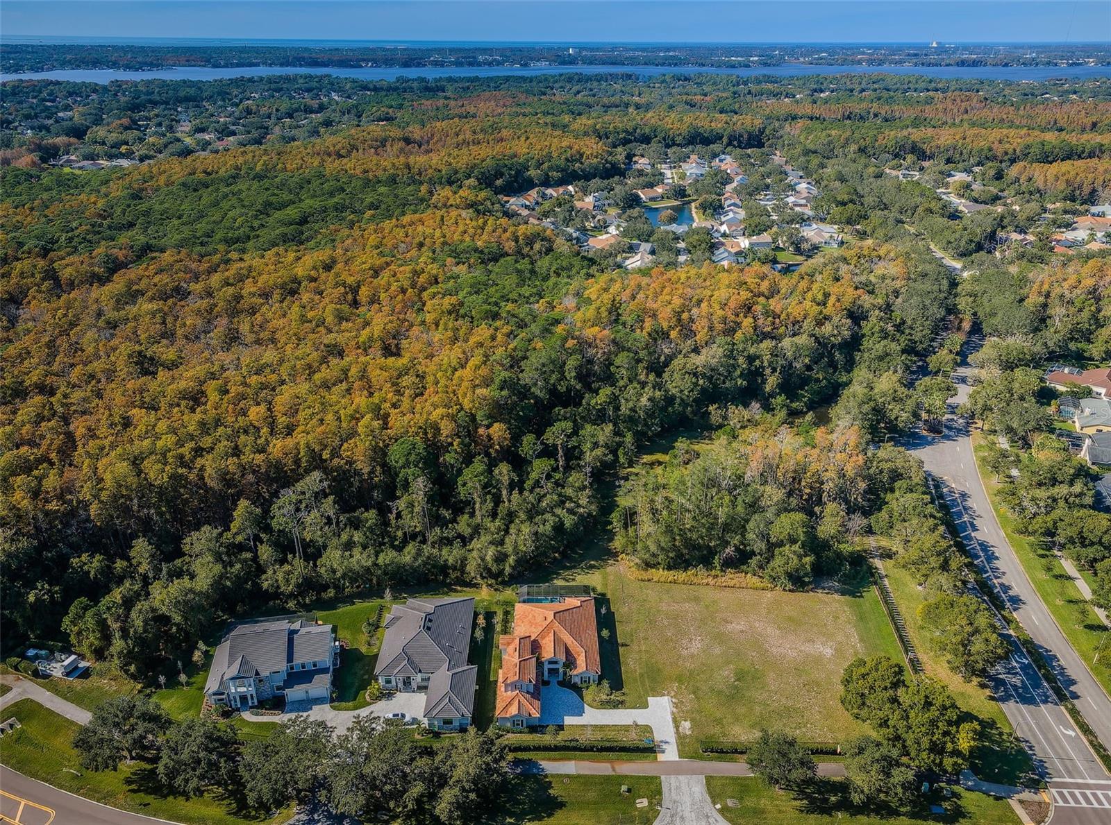 Photo of 4390 TARPON LAKE BOULEVARD PALM HARBOR FL 34685