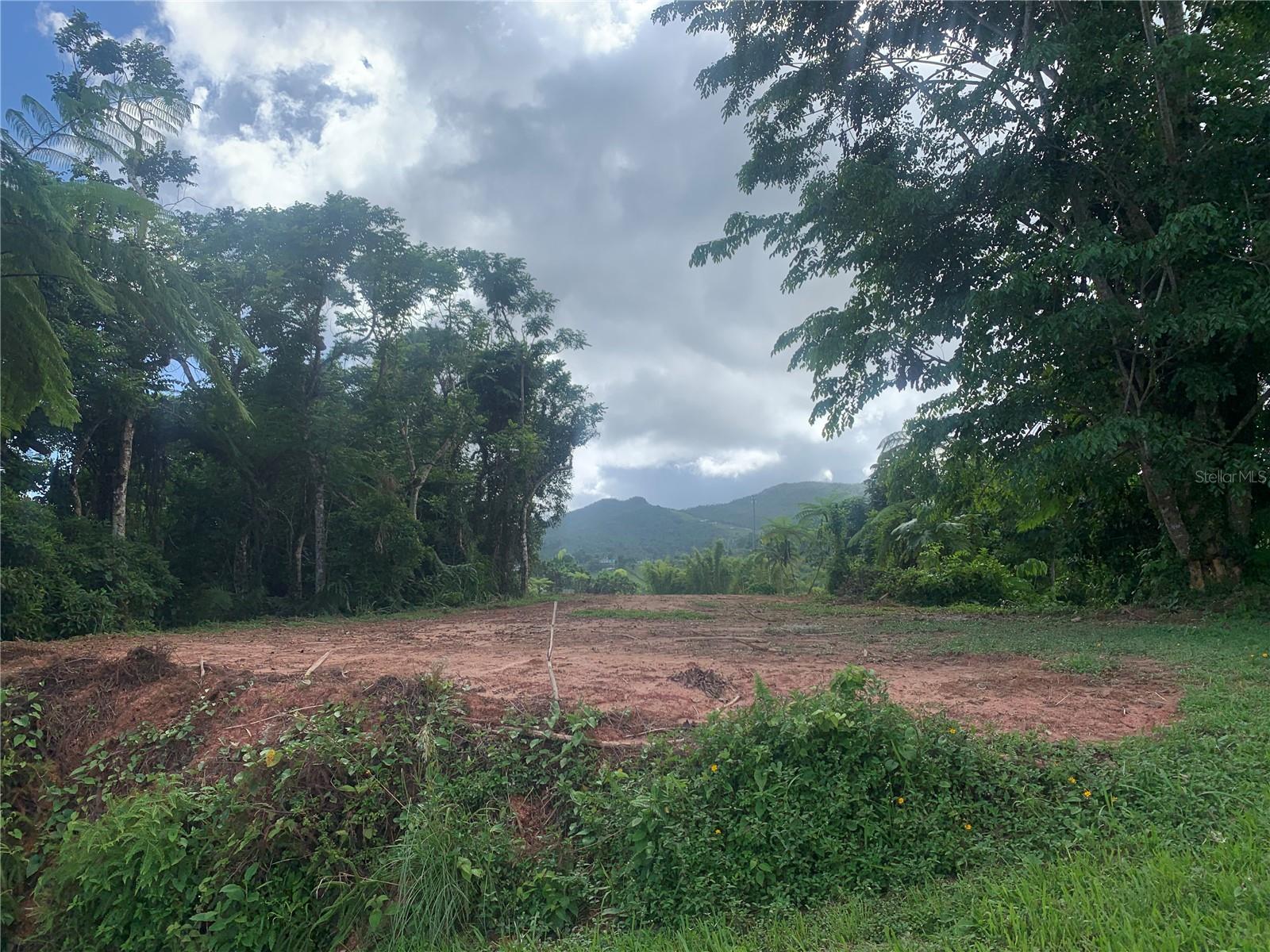 Photo of GUAYABOTAS YABUCOA PR 00767