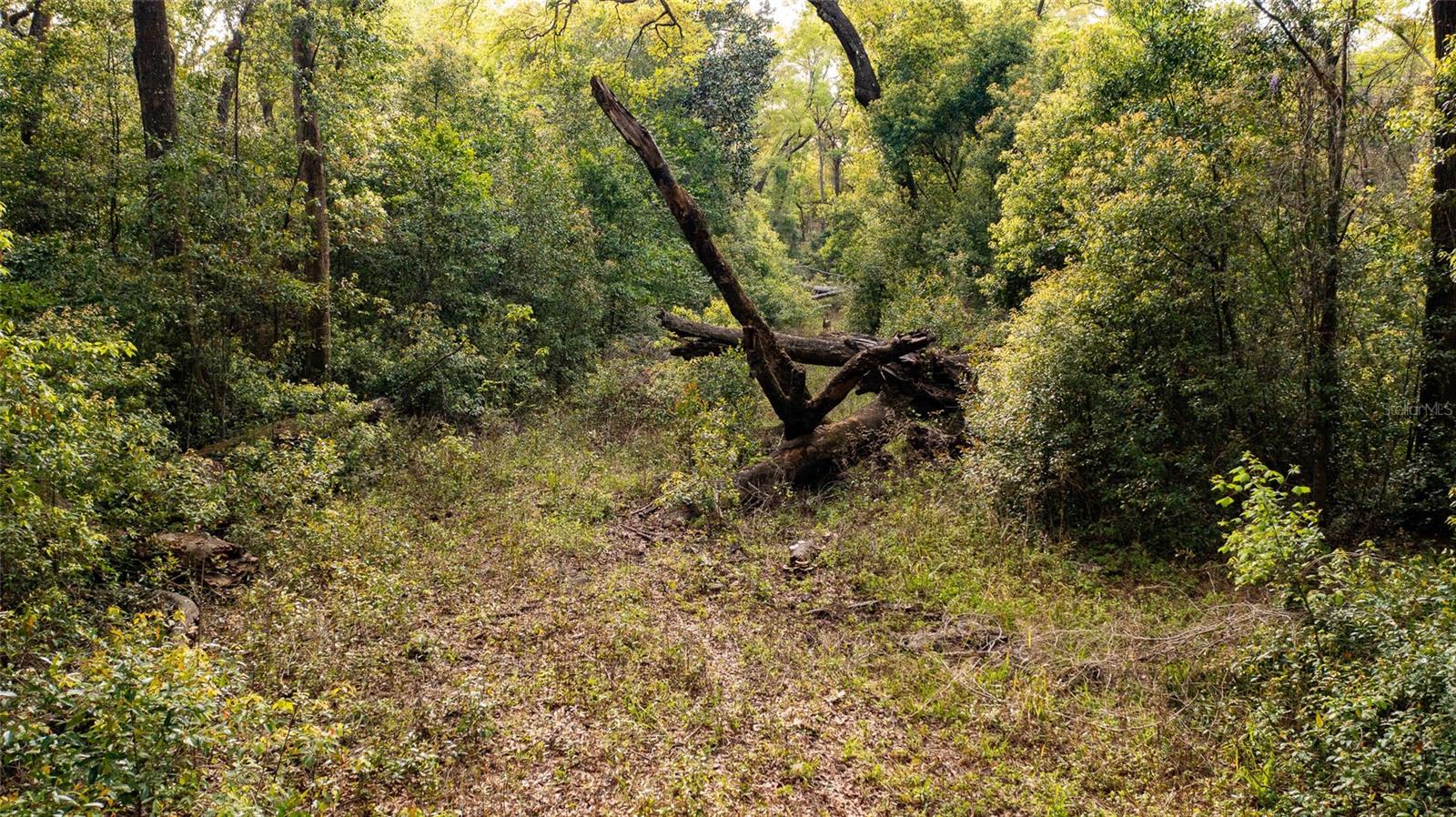 Photo of 00 NW 177TH PLACE HIGH SPRINGS FL 32643