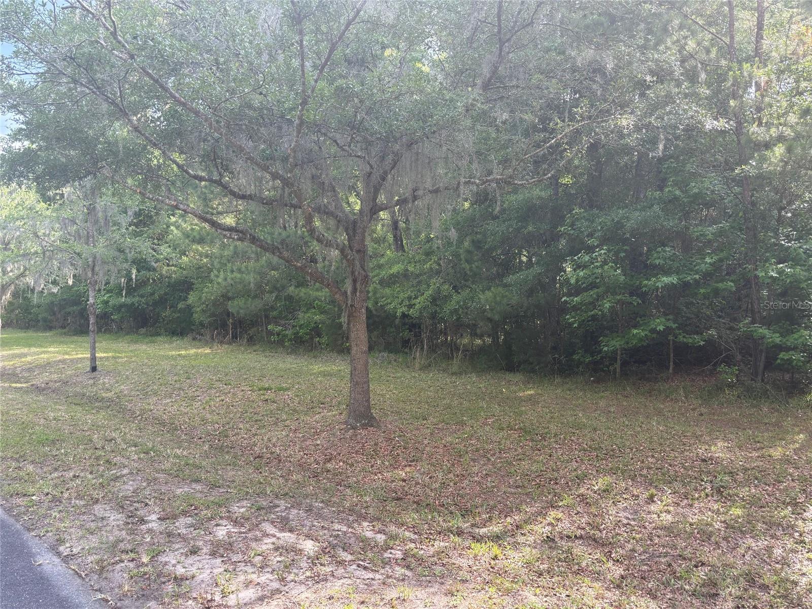 Photo of 6038 NW 90TH STREET GAINESVILLE FL 32653