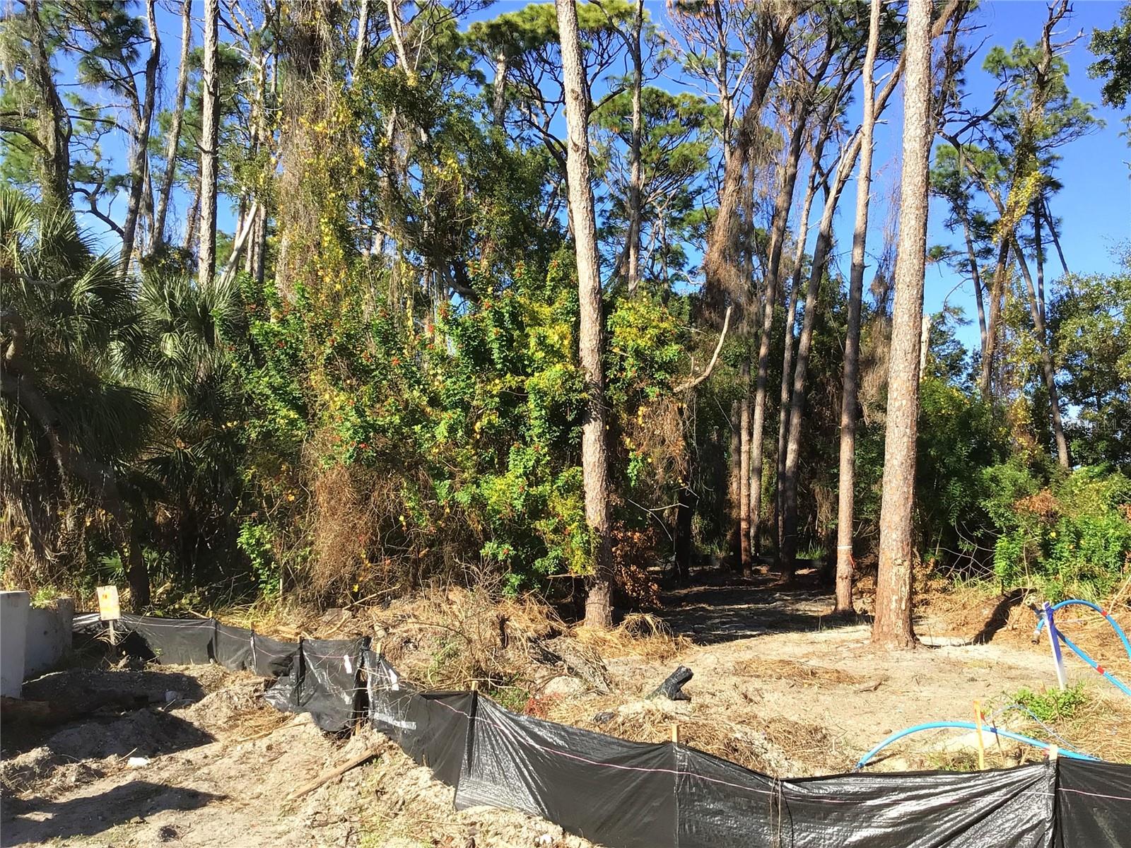 Photo of 1289 ALMARIA COURT PALM HARBOR FL 34683