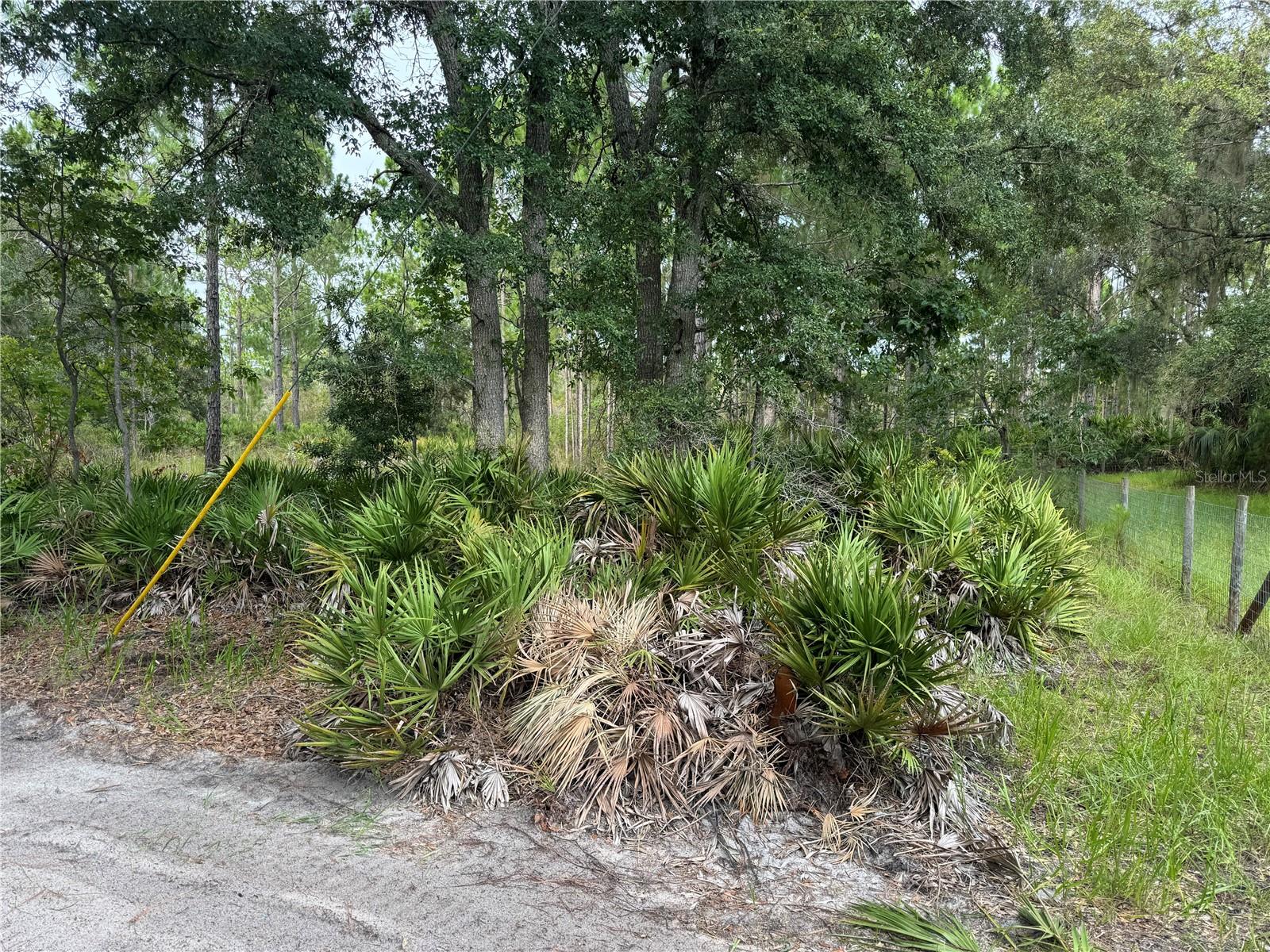 Photo of 00 SW 103RD COURT CEDAR KEY FL 32625