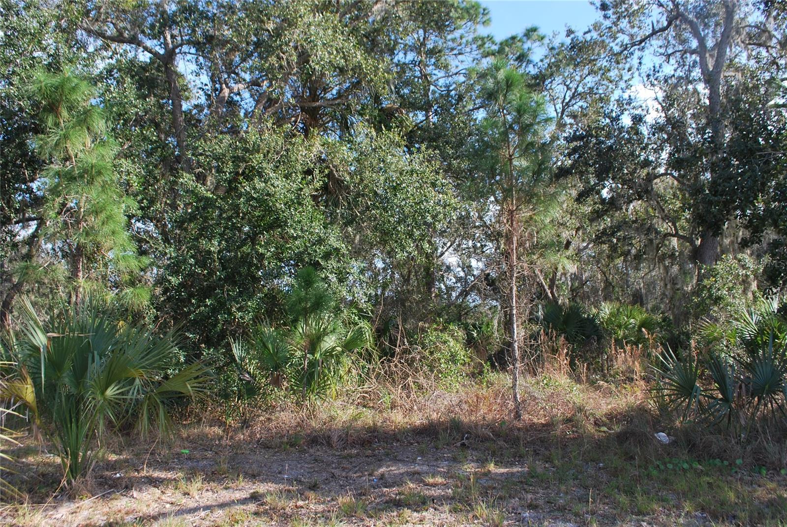 Photo of S RIDGEWOOD AVENUE EDGEWATER FL 32141