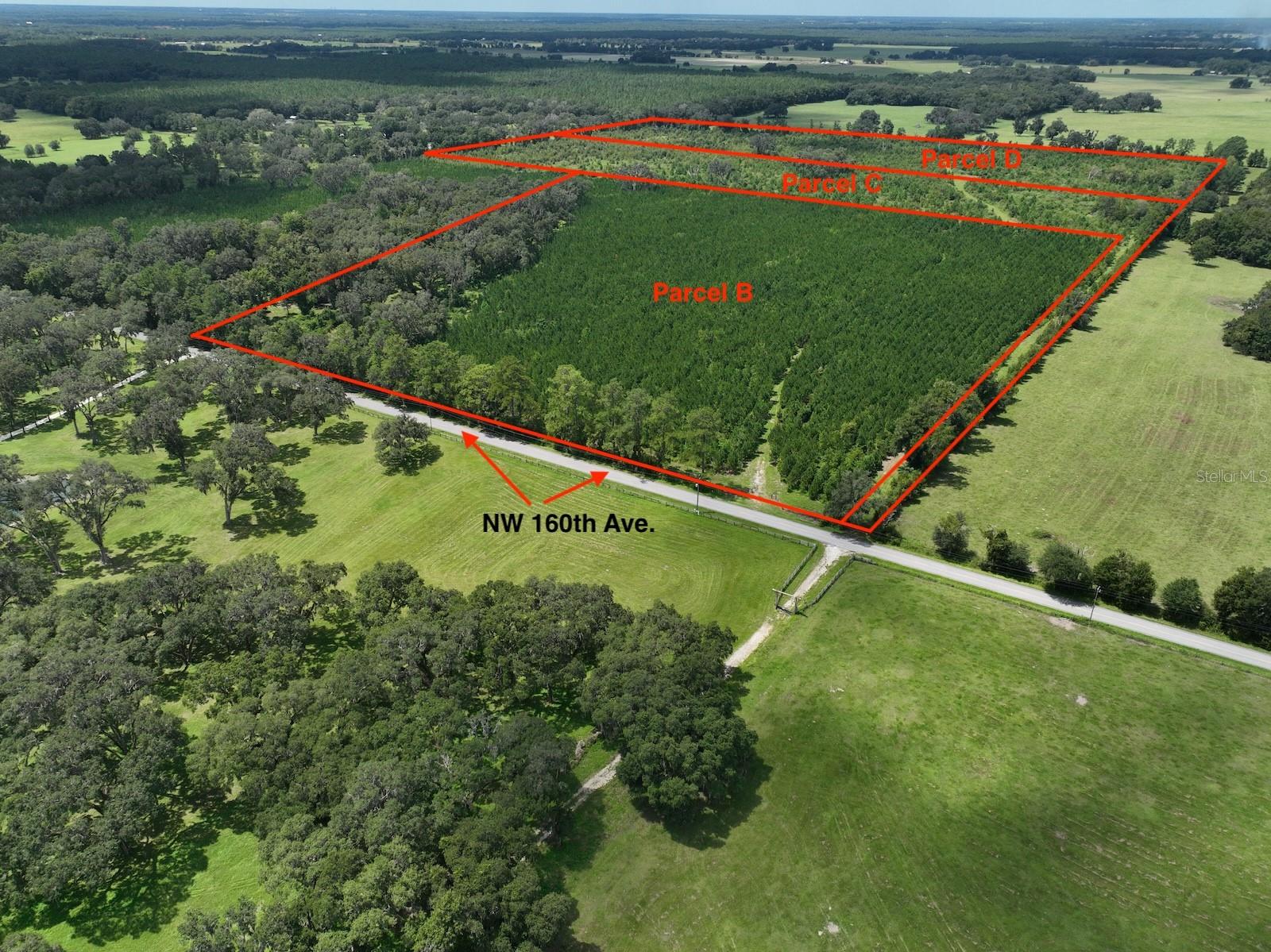 Photo of No Address Listed MORRISTON FL 32668