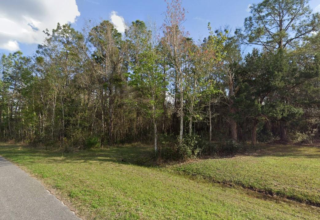 Photo of 257 HARBOR DRIVE PALATKA FL 32177