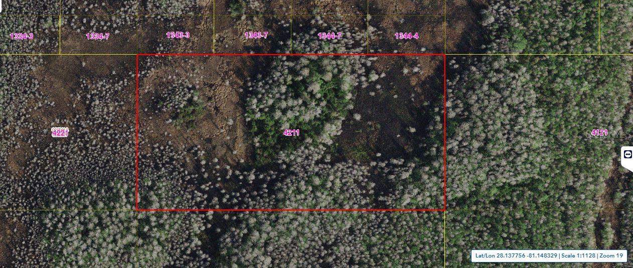 Photo of HOLOPAW GROVES ROAD ST CLOUD FL 34773