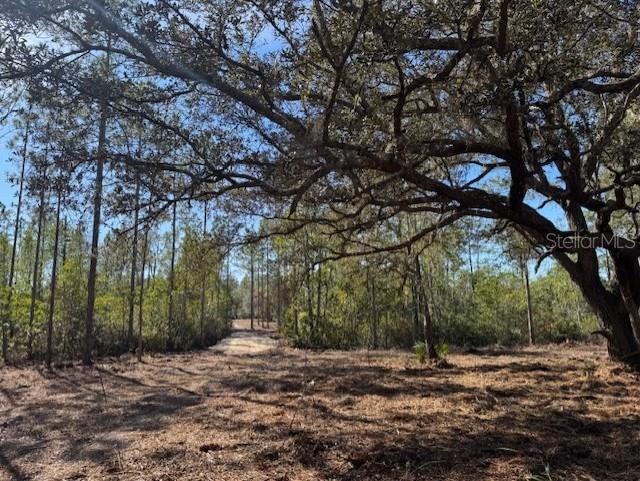 Photo of 11901 NE 150TH AVE ROAD FORT MC COY FL 32134
