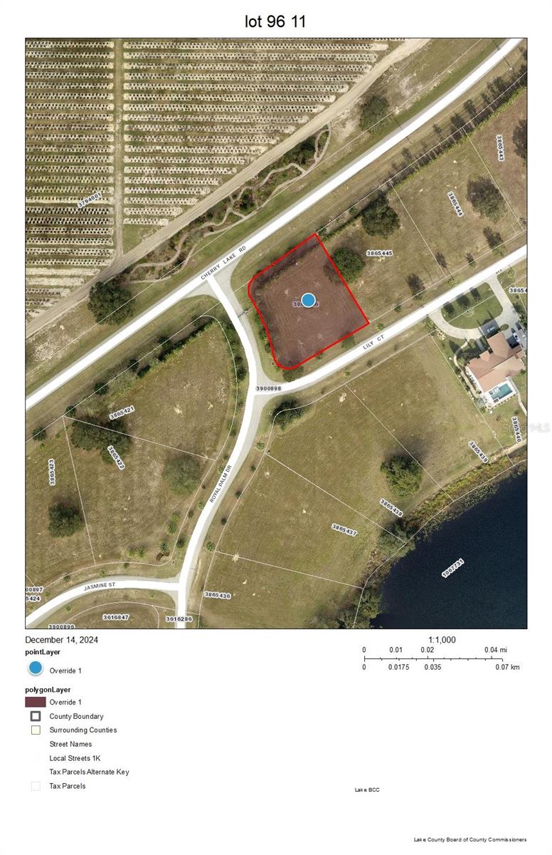 Photo of 17200 ROYAL PALM DRIVE GROVELAND FL 34736
