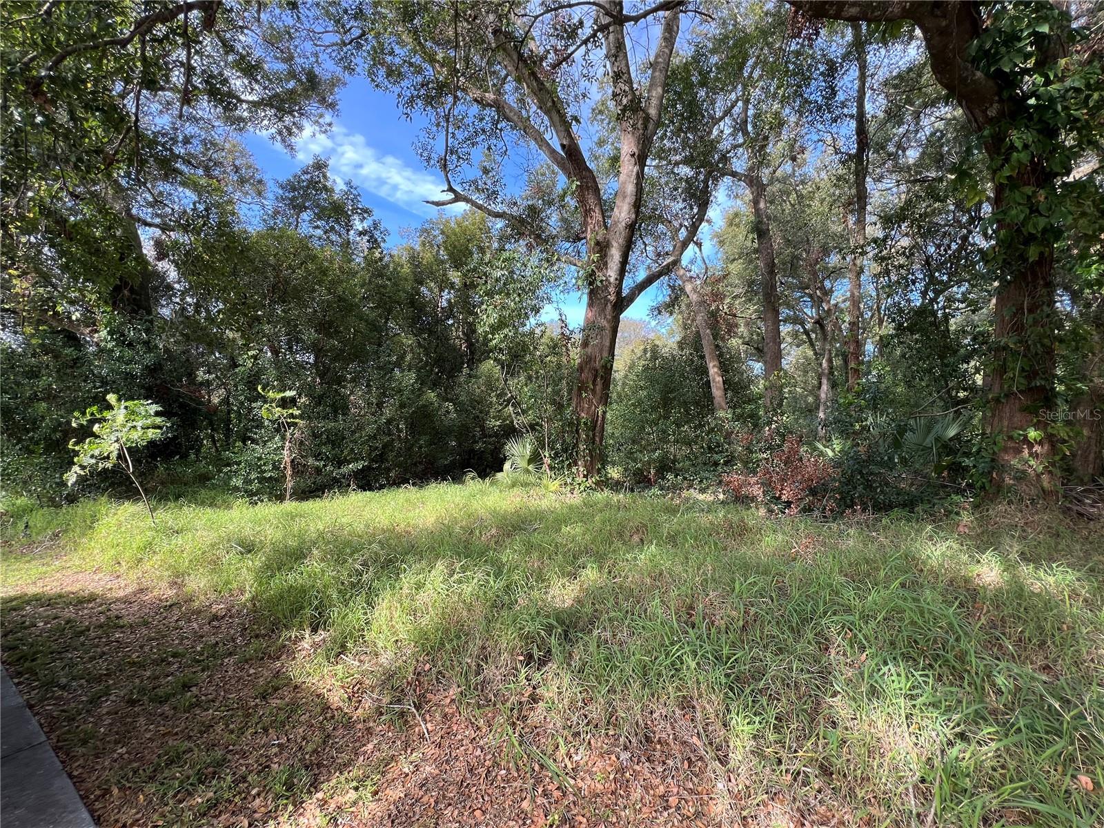 Photo of 875 OCOEE APOPKA ROAD APOPKA FL 32703