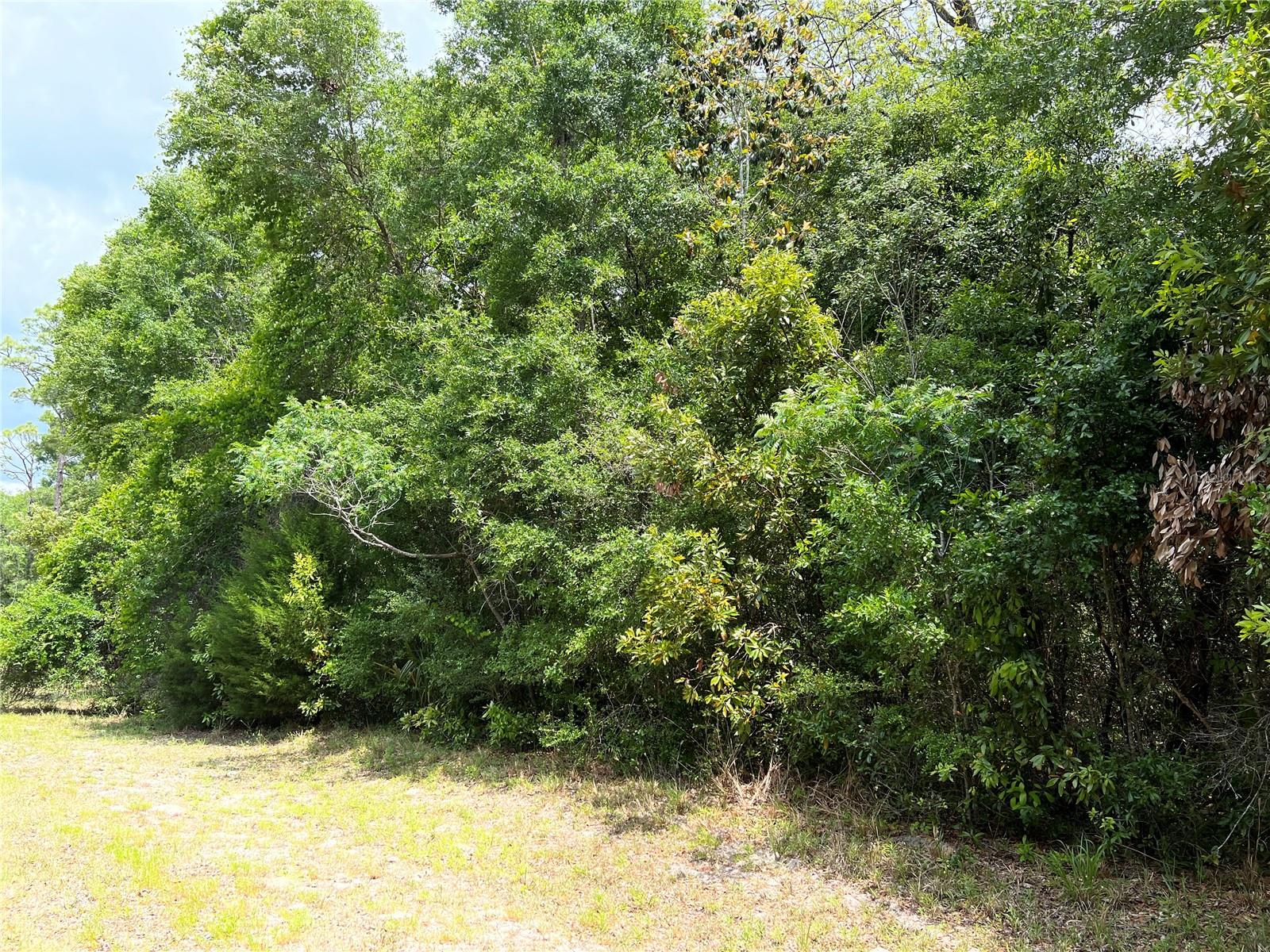Photo of 0 NW 70TH CIRCLE CHIEFLAND FL 32626