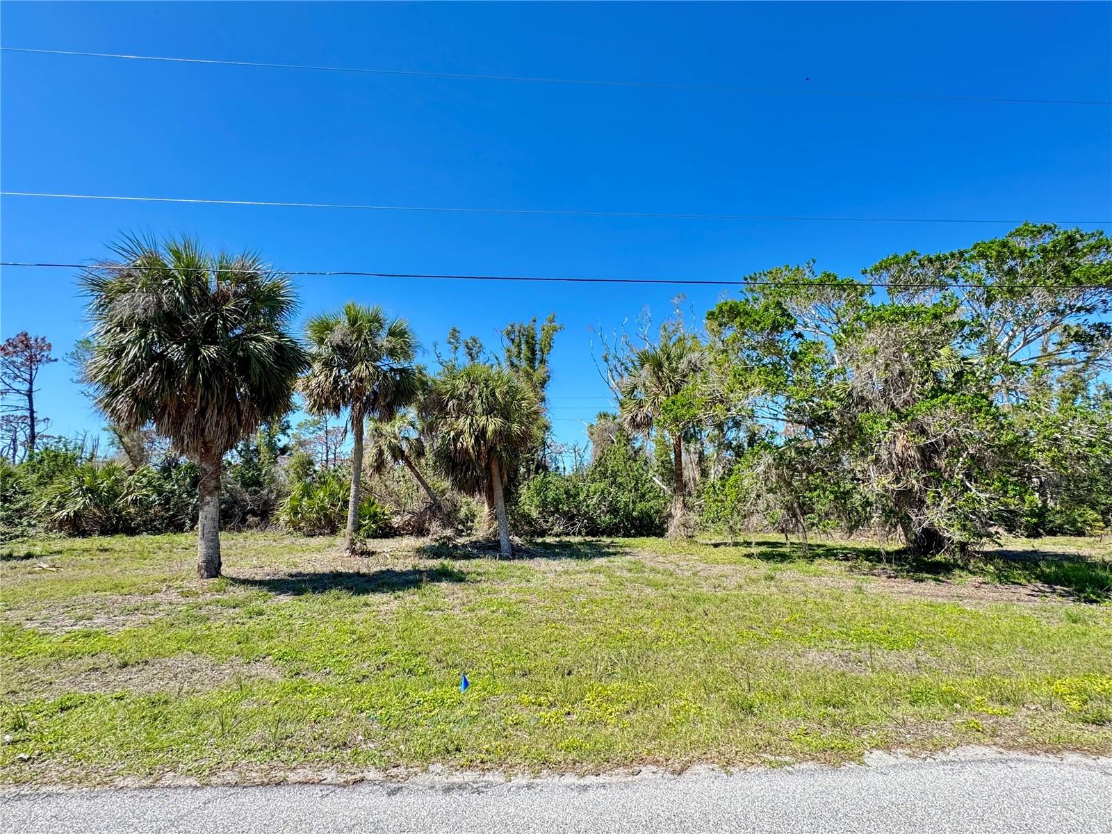 Photo of 50 COBIA DRIVE PLACIDA FL 33946