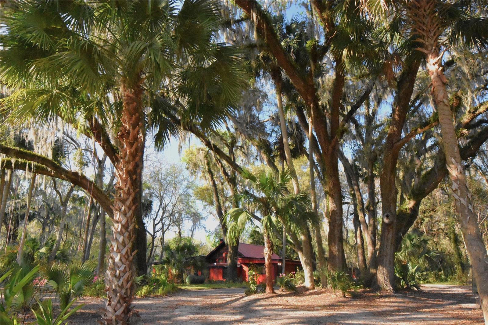Photo of 1302 SE WACAHOOTA ROAD MICANOPY FL 32667