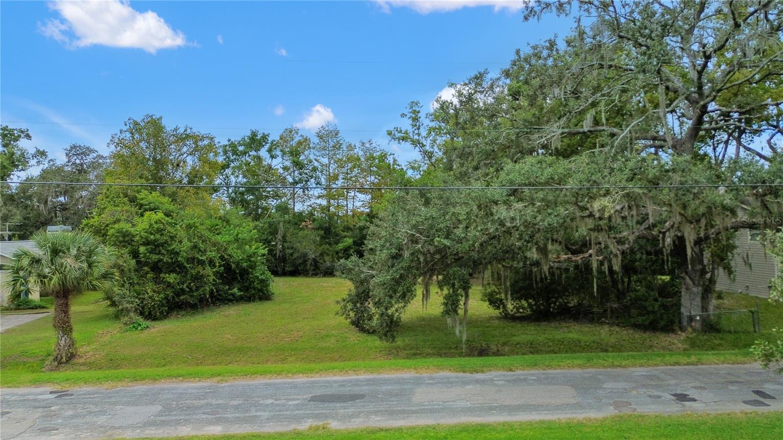 Photo of 11123 LAKE SHORE DRIVE LAND O LAKES FL 34637