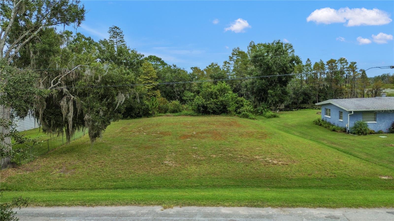 Photo of 11124 LAKE SHORE DRIVE LAND O LAKES FL 34637