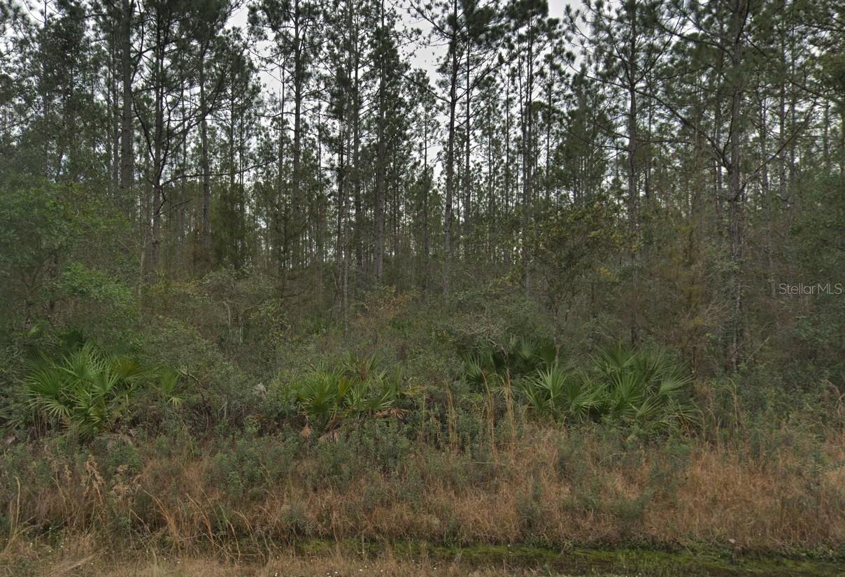 Photo of 0000 EDWARD STREET HASTINGS FL 32145