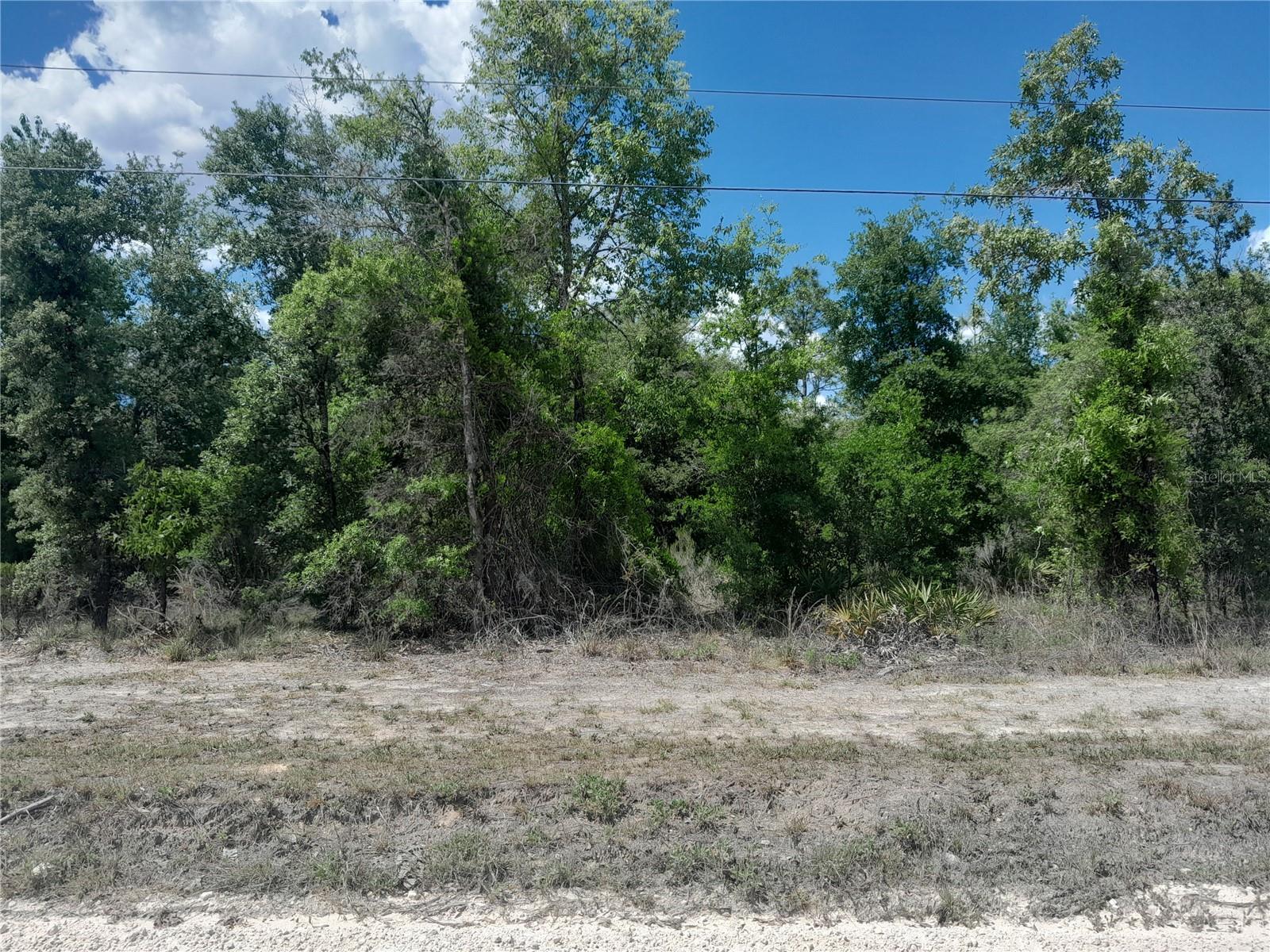 Photo of tbd NE 63RD PLACE WILLISTON FL 32696