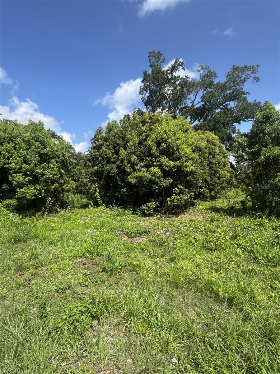 Photo of PAIGE AVENUE NEW SMYRNA BEACH FL 32168