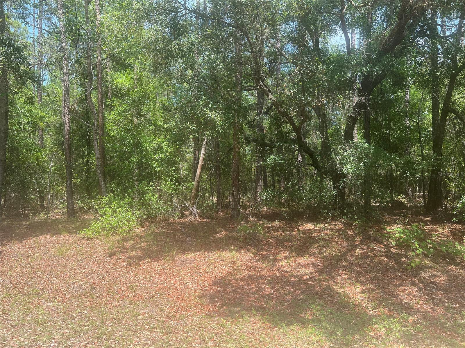 Photo of 8729 N WALLINGFORD AVENUE DUNNELLON FL 34434