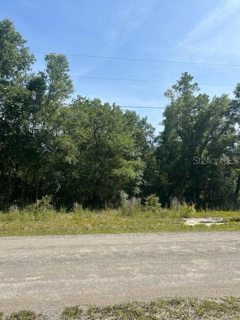 Photo of 8284 W CATRINA LANE CRYSTAL RIVER FL 34428