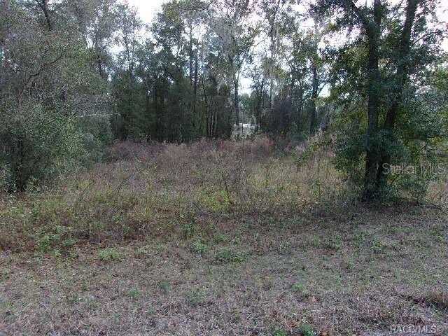Photo of 6700 E HAYNES LANE INVERNESS FL 34452